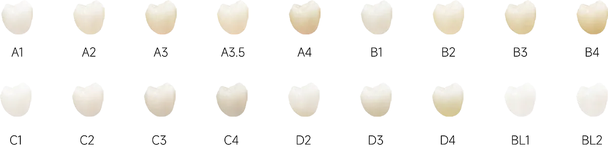 TT-ONE(Pre-shaded)_4.webp